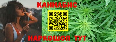 крисы Кунгур