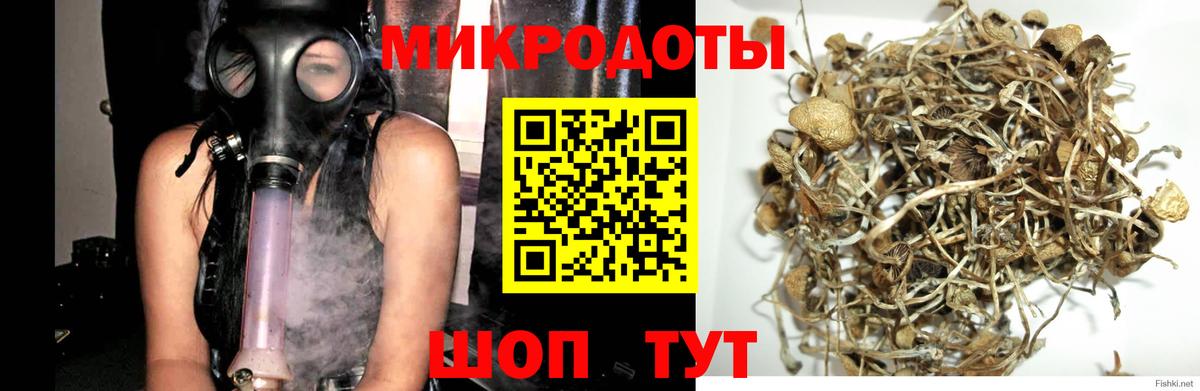 Галлюциногенные грибы мицелий Качканар